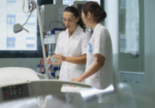 經濟基礎 經濟基礎